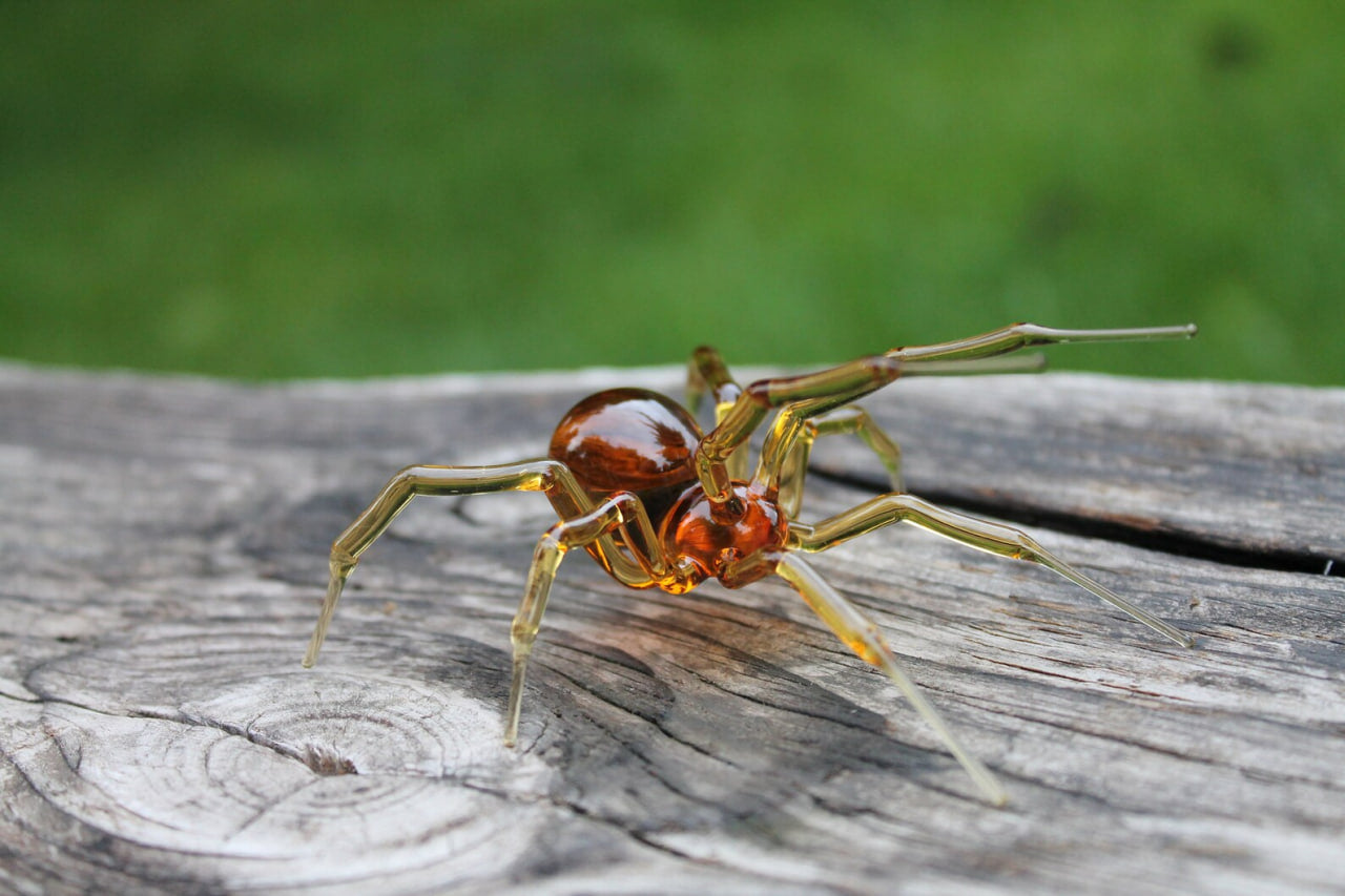 Glass Spider Figurine – Amber Legs & Body – 2.5 Inches – Lampwork Art