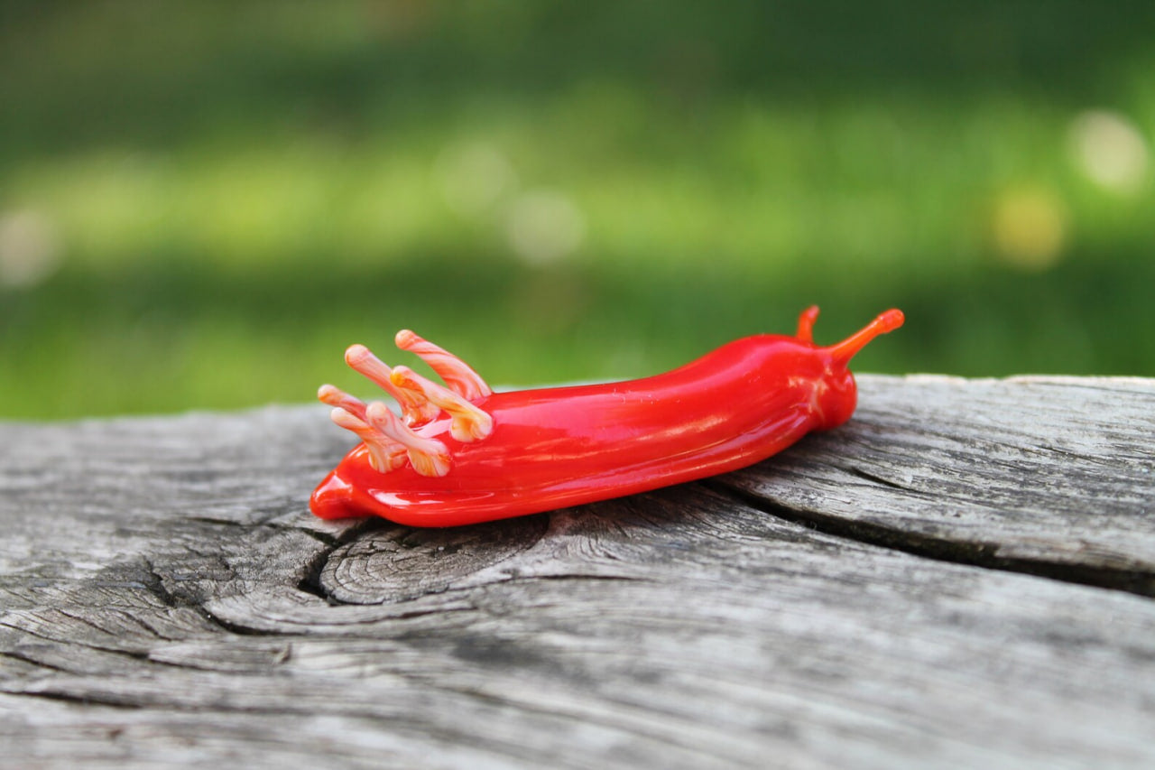 Red Nudibranch Spanish dancer Hexabranchus Spotted Slug glass sculpture