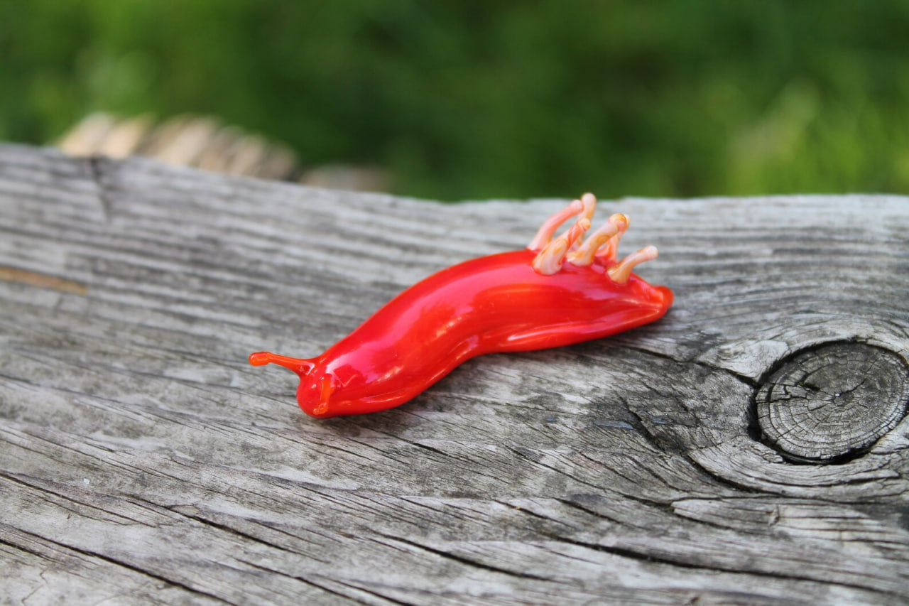 Red Nudibranch Spanish dancer Hexabranchus Spotted Slug glass sculpture