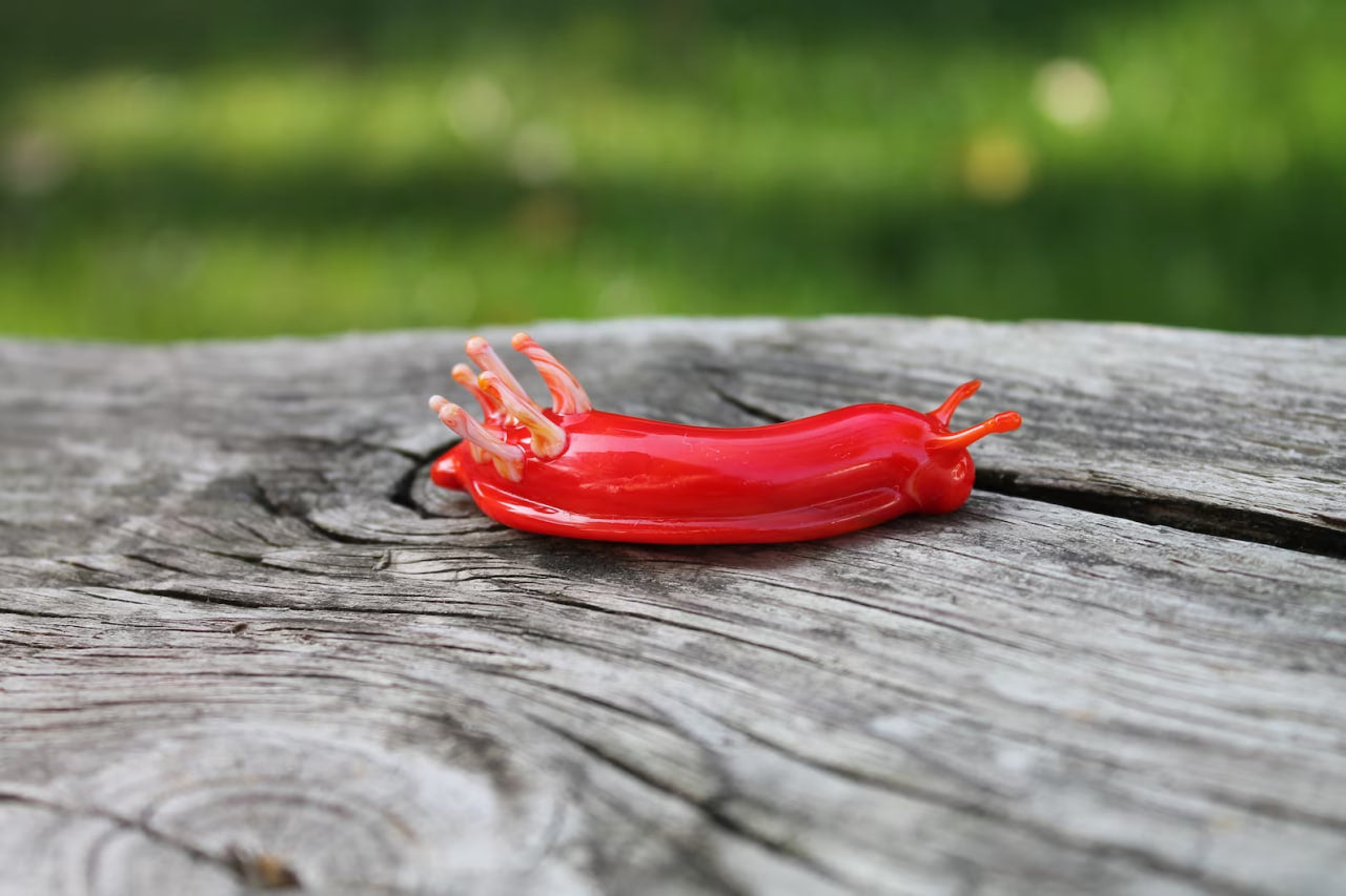 Red Nudibranch Spanish dancer Hexabranchus Spotted Slug glass sculpture