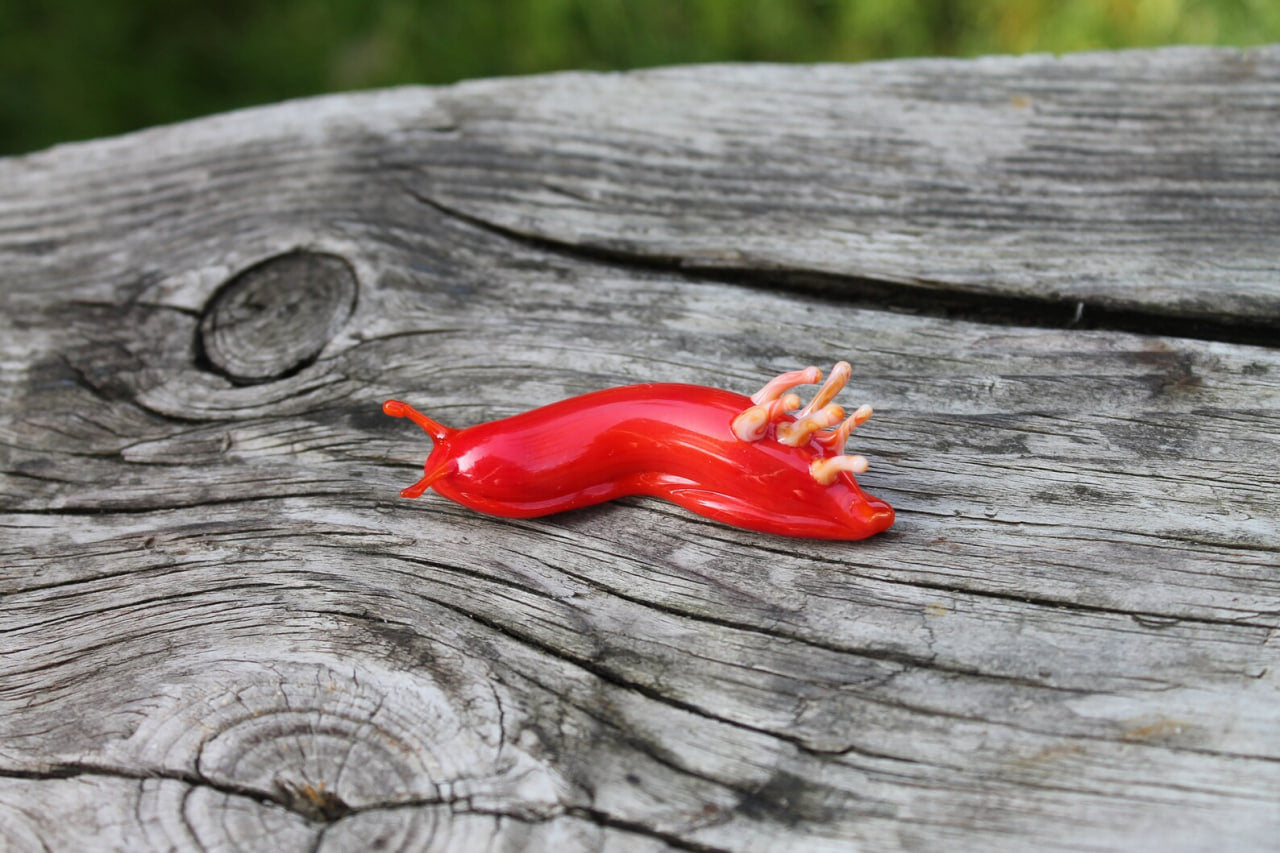 Red Nudibranch Spanish dancer Hexabranchus Spotted Slug glass sculpture