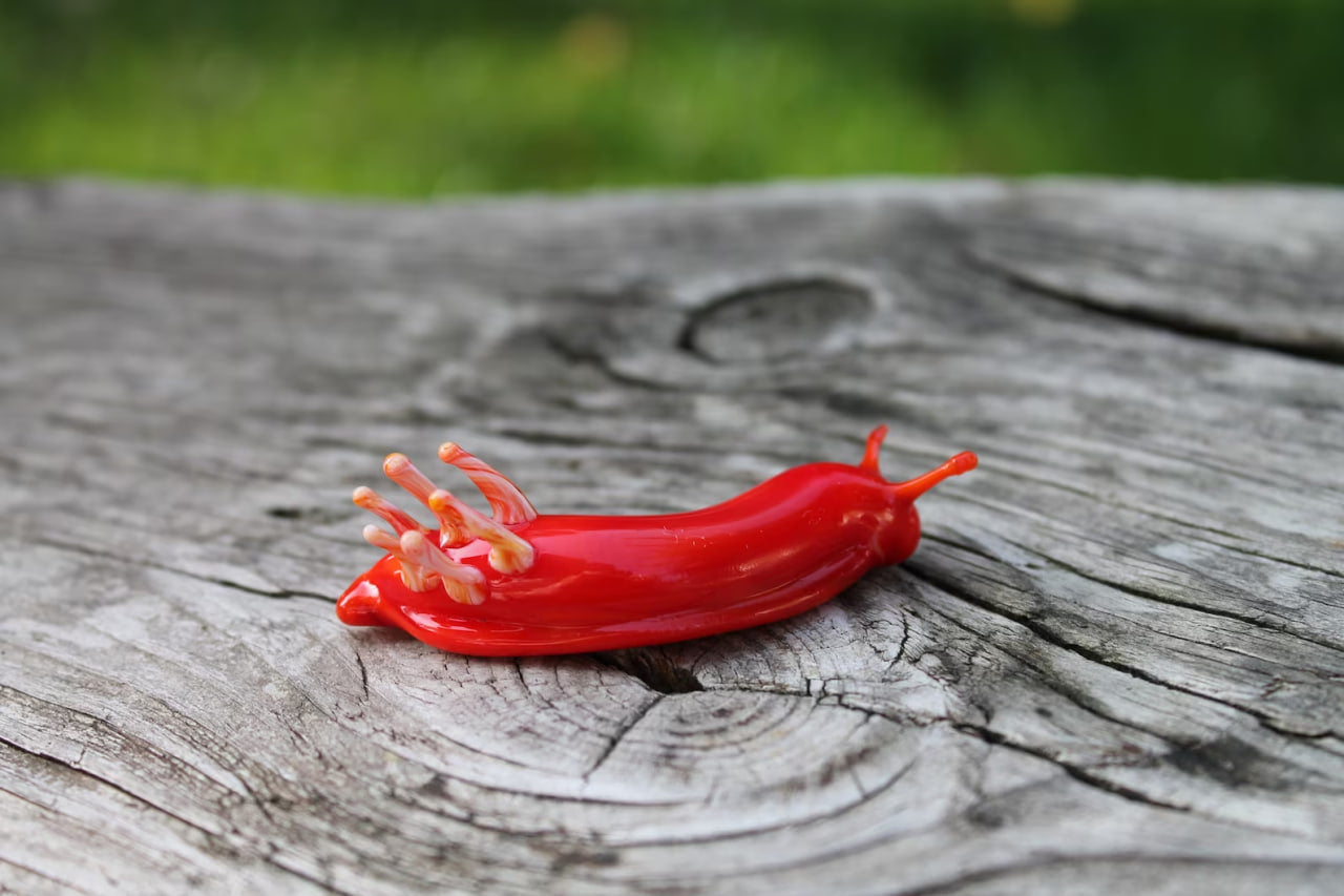 Red Nudibranch Spanish dancer Hexabranchus Spotted Slug glass sculpture