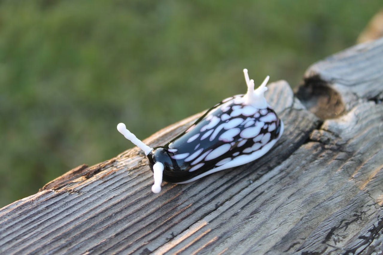 White Black Nudibranch Spanish dancer Hexabranchus Spotted Slug glass sculpture