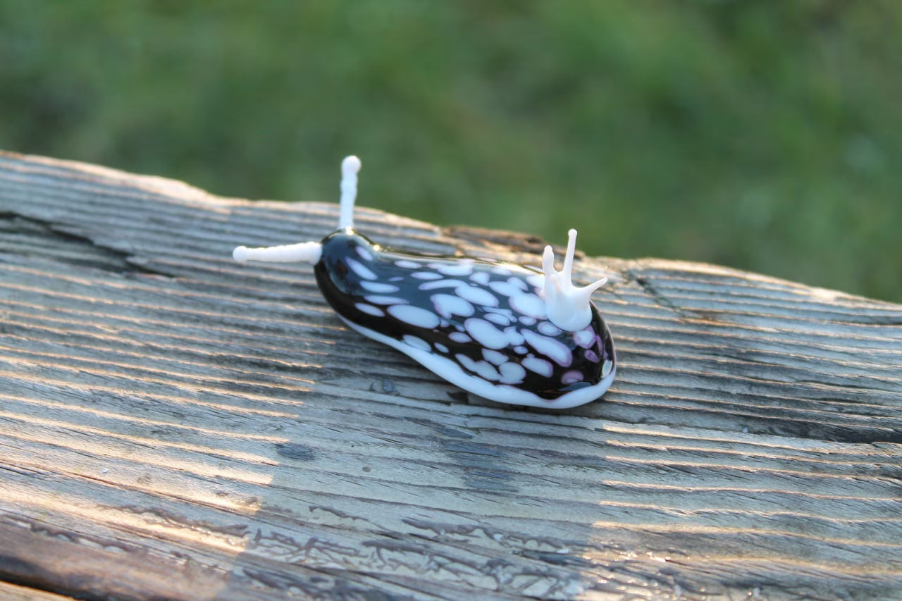 White Black Nudibranch Spanish dancer Hexabranchus Spotted Slug glass sculpture