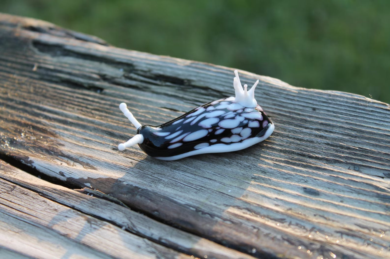 White Black Nudibranch Spanish dancer Hexabranchus Spotted Slug glass sculpture