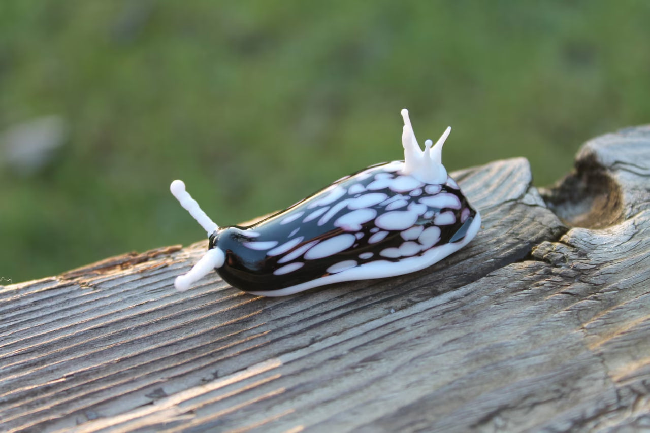 White Black Nudibranch Spanish dancer Hexabranchus Spotted Slug glass sculpture