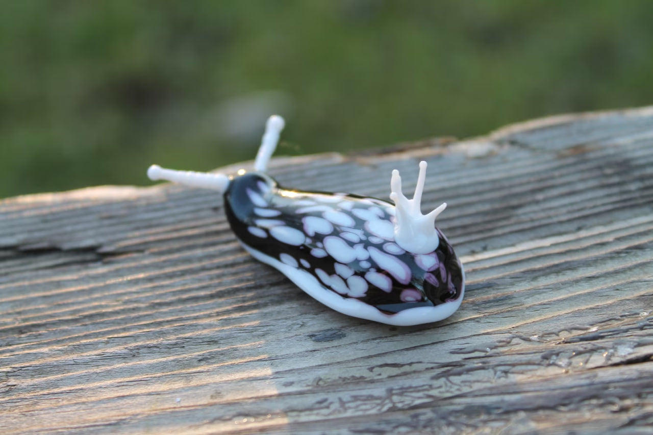 White Black Nudibranch Spanish dancer Hexabranchus Spotted Slug glass sculpture