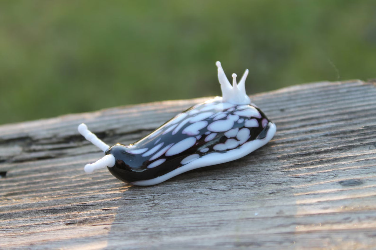 White Black Nudibranch Spanish dancer Hexabranchus Spotted Slug glass sculpture