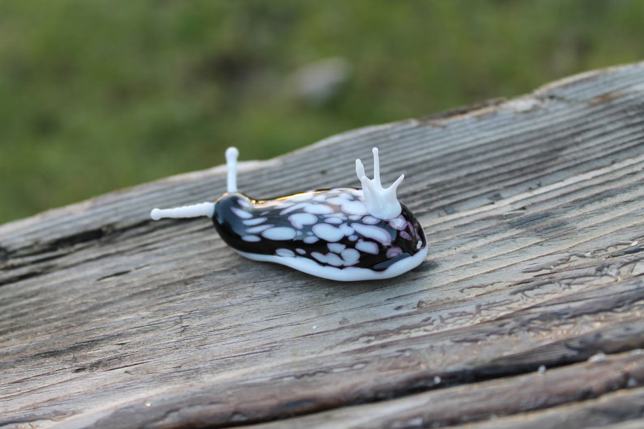 White Black Nudibranch Spanish dancer Hexabranchus Spotted Slug glass sculpture