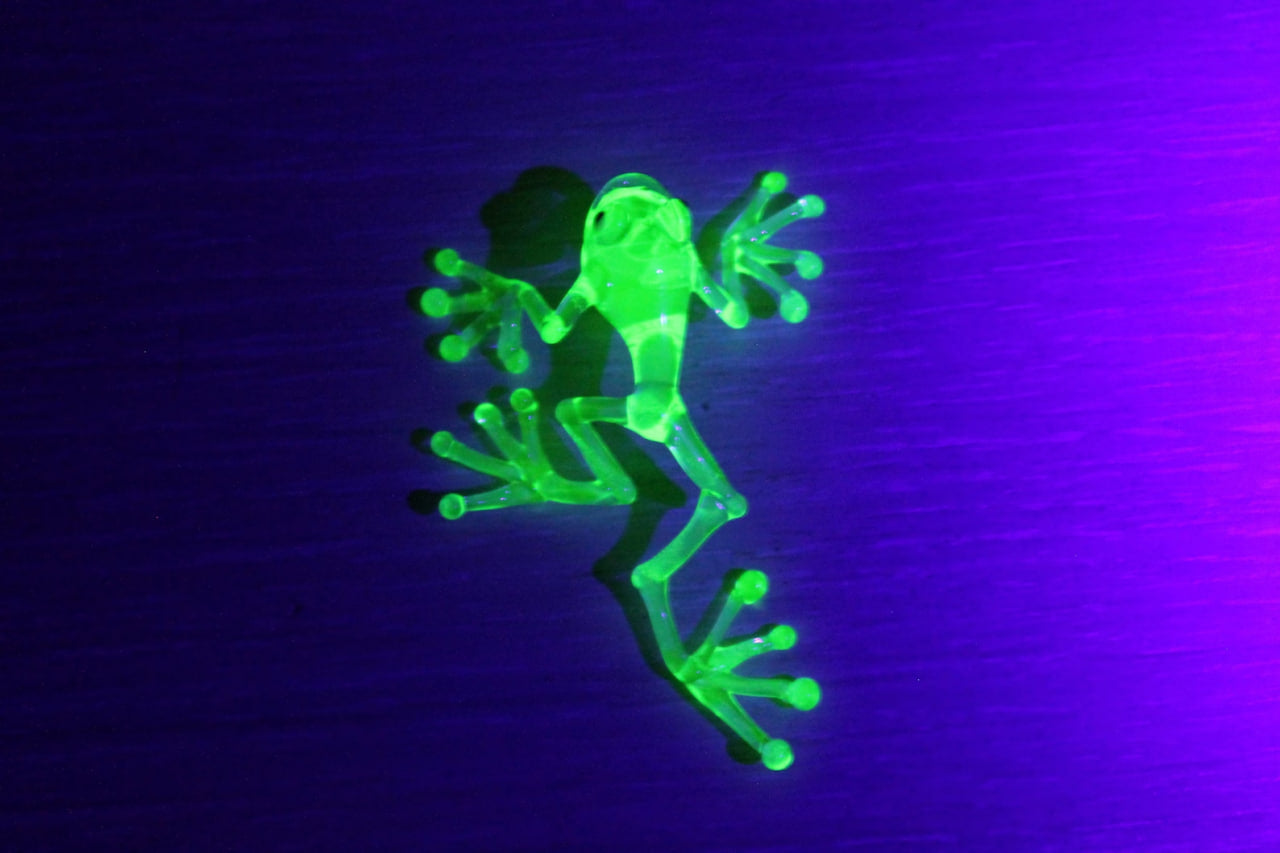 Uranium Glass Frog Pendant pendant Blown Glass Frog Uranium Vaseline Glass Figurine Frog necklace Frog Glass UV Miniature