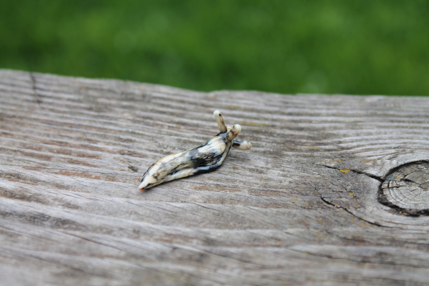Miniature Black And Ivory Glass Slug Figurine - Lampwork Art