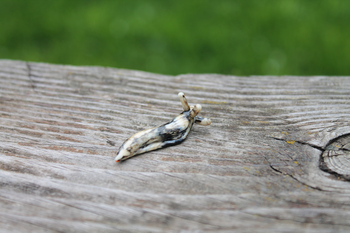 Miniature Black And Ivory Glass Slug Figurine - Lampwork Art