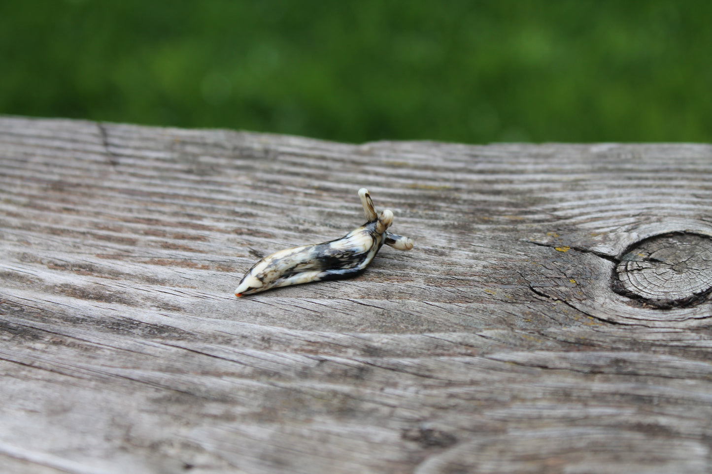 Miniature Black And Ivory Glass Slug Figurine - Lampwork Art