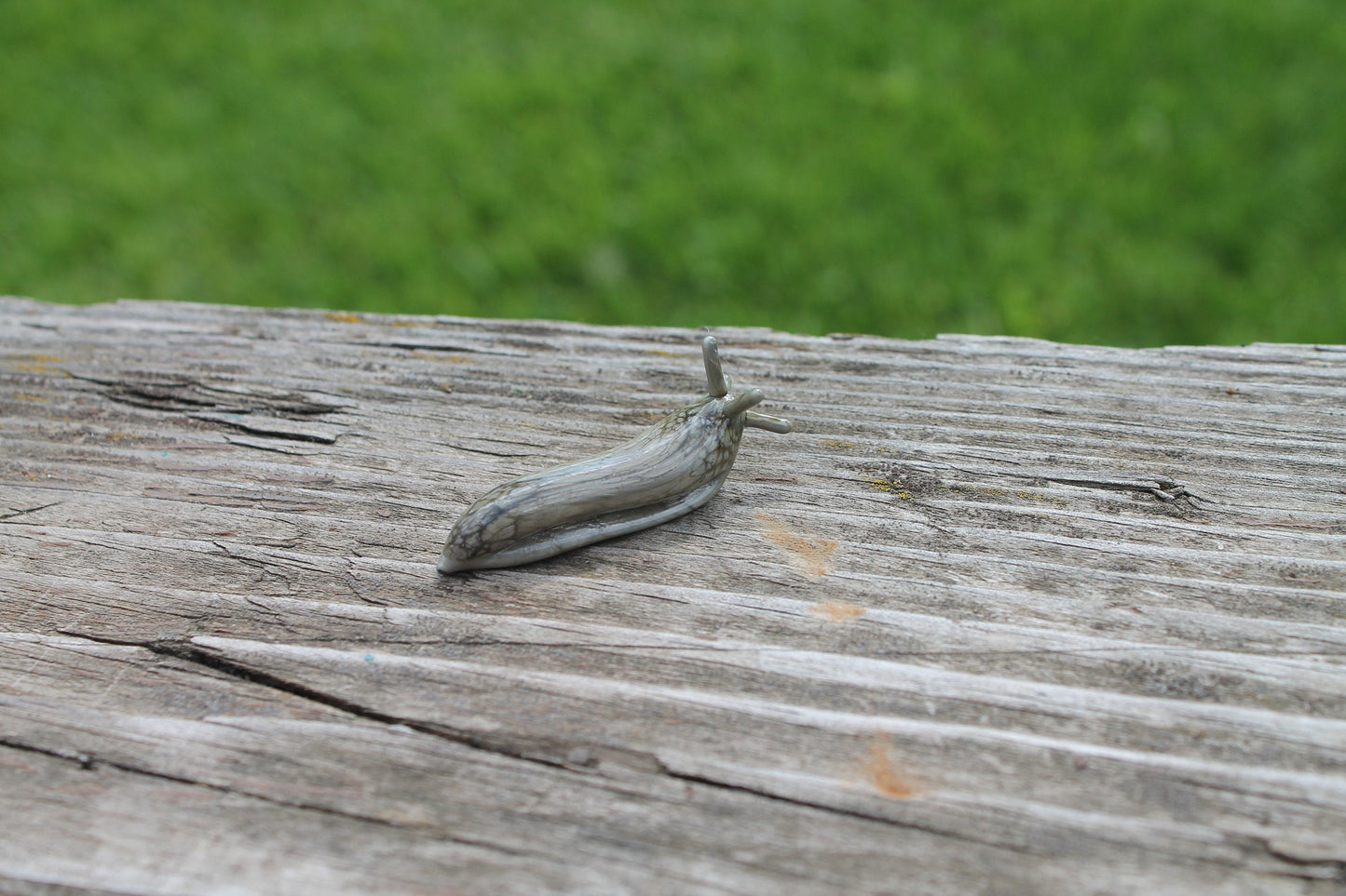 Miniature Glass Slug Figurine In Gray Marble Murano Style