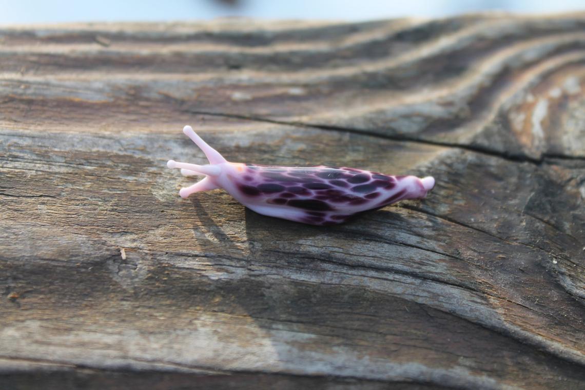 Unique Purple Spotted Glass Slug – Lampwork Miniature, 1.2 Inches
