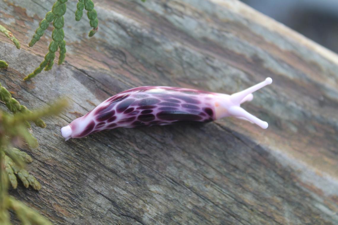 Unique Purple Spotted Glass Slug – Lampwork Miniature, 1.2 Inches