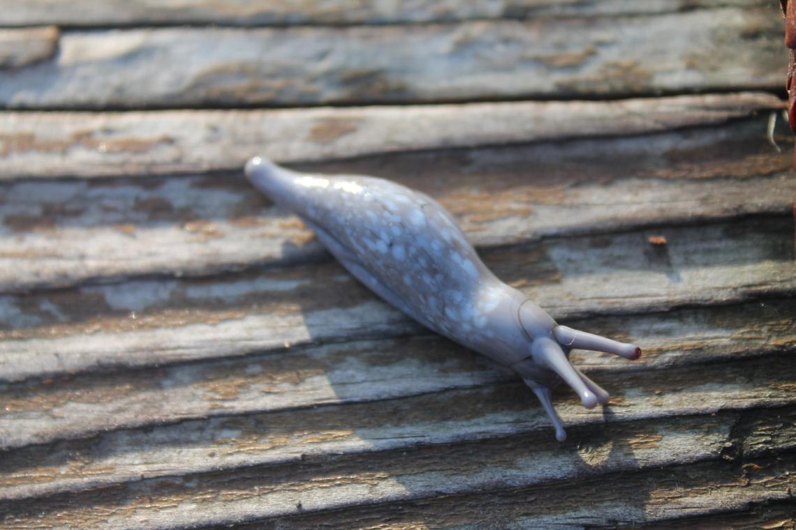 Realistic Handmade Slug Figurine In Speckled Gray Glass