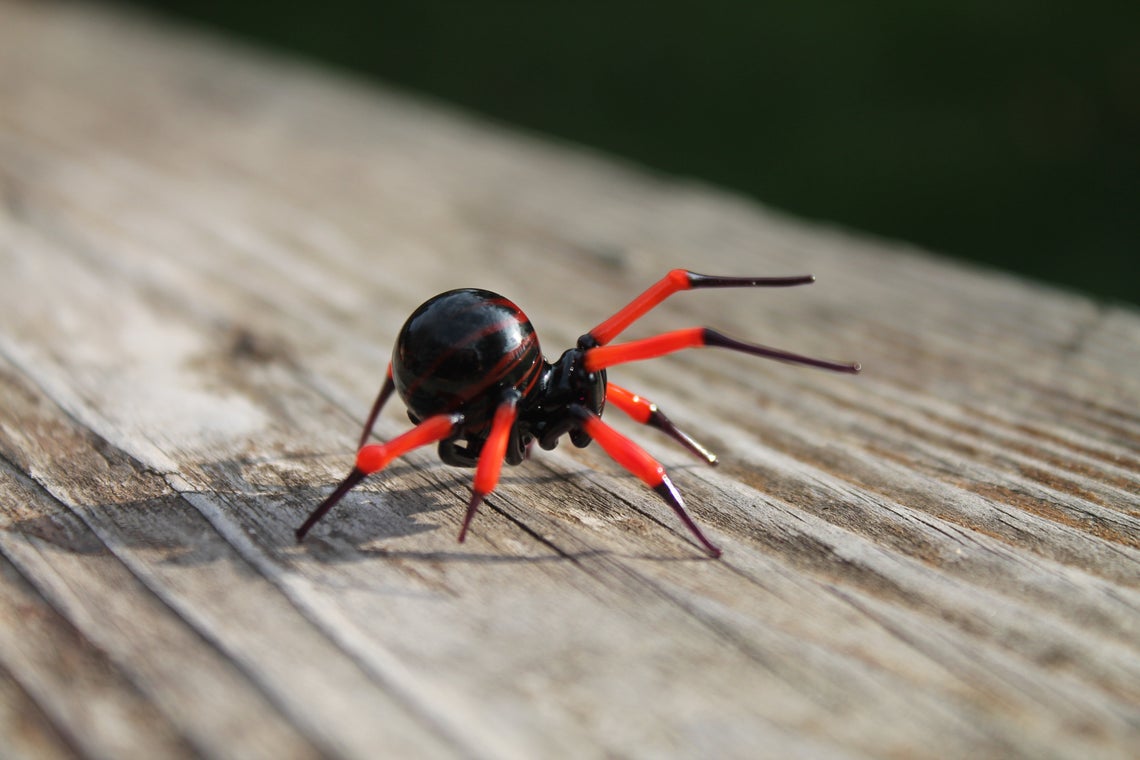 Red And Black Miniature Glass Spider – Handmade Lampwork Art