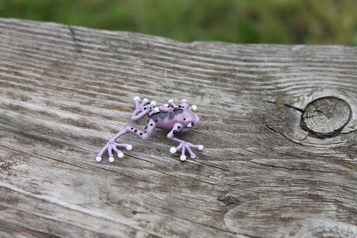 Callidryas tree frog Blown Glass Frog Sculpture poison dart frog lampwork boro toy Glass Frog Miniature Agalychnis callidryas