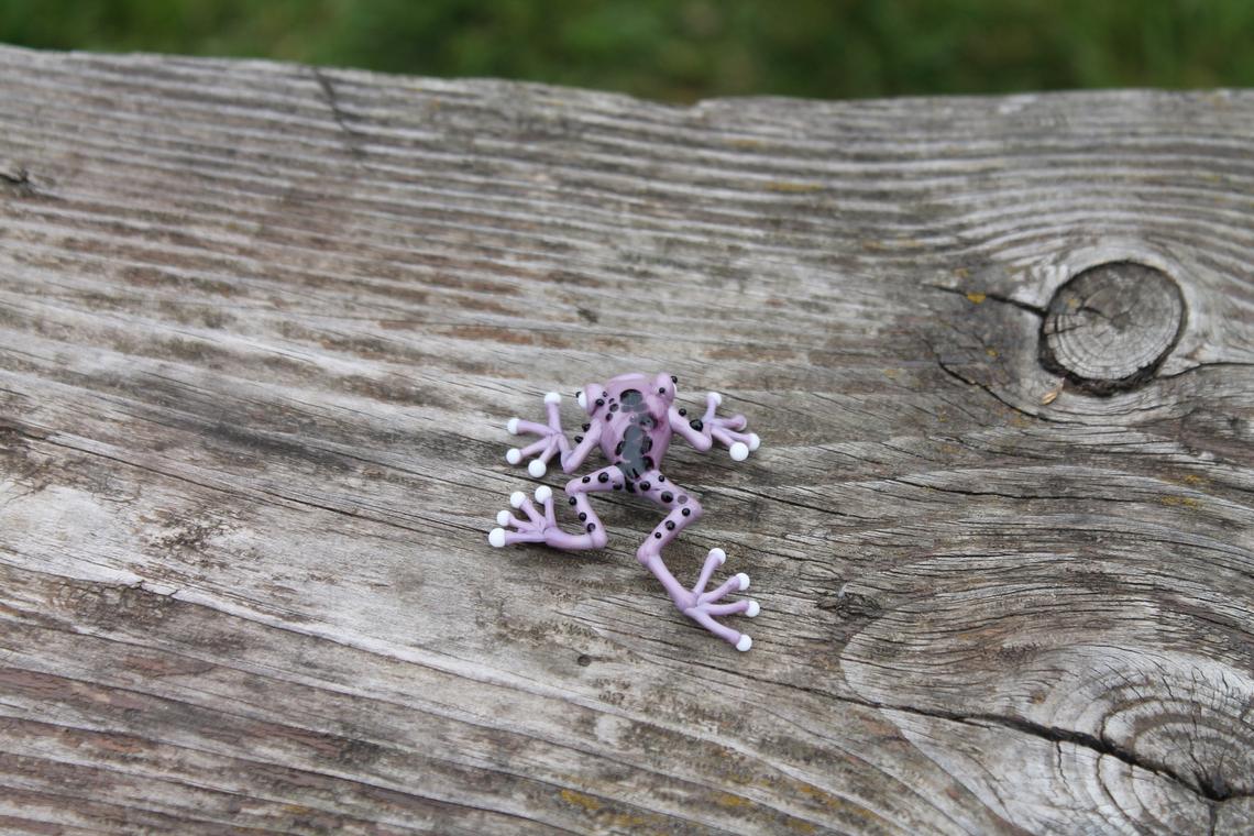 Callidryas tree frog Blown Glass Frog Sculpture poison dart frog lampwork boro toy Glass Frog Miniature Agalychnis callidryas