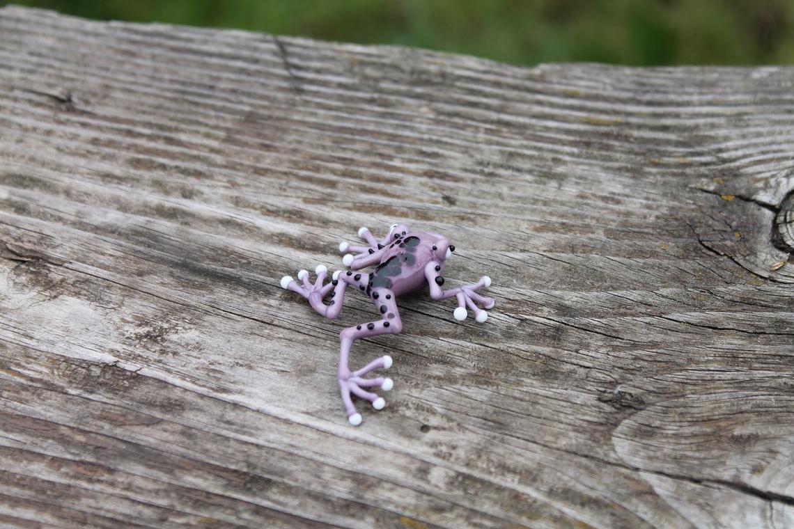 Callidryas tree frog Blown Glass Frog Sculpture poison dart frog lampwork boro toy Glass Frog Miniature Agalychnis callidryas
