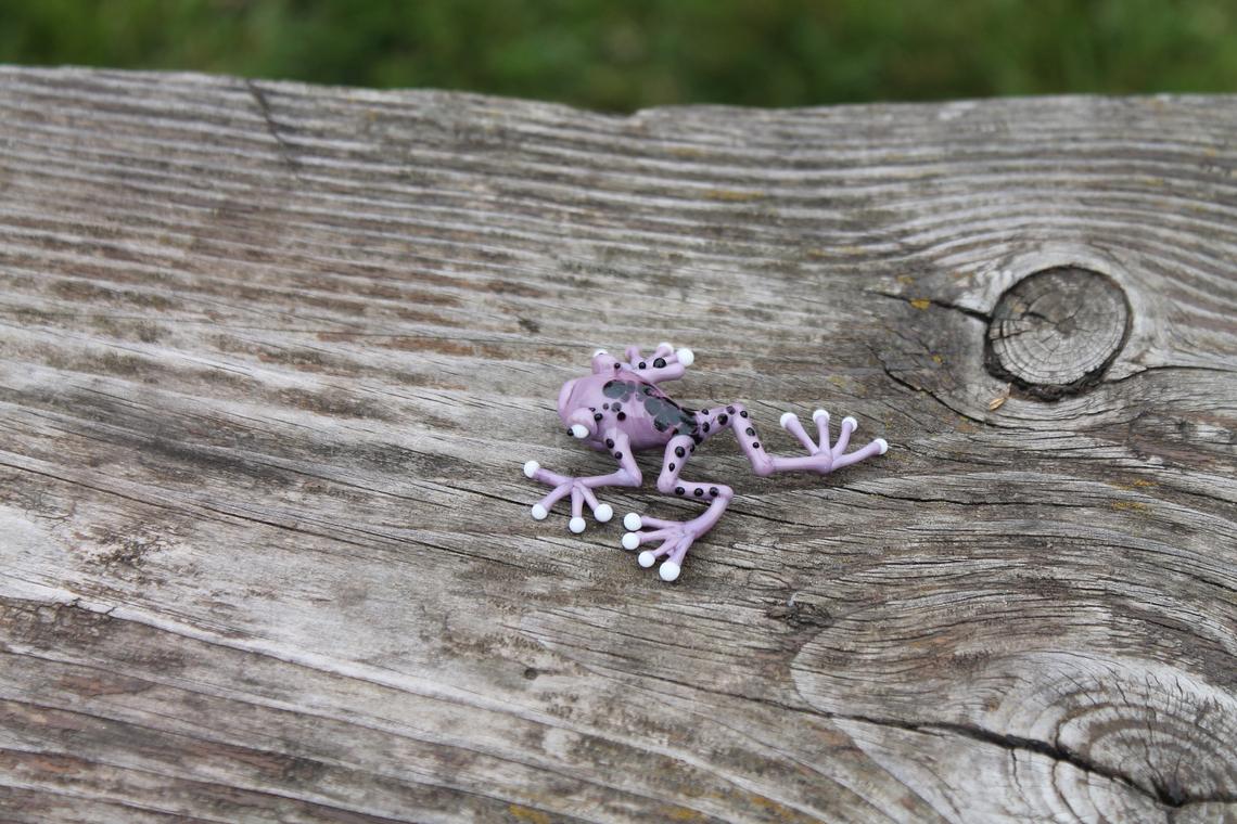 Callidryas tree frog Blown Glass Frog Sculpture poison dart frog lampwork boro toy Glass Frog Miniature Agalychnis callidryas