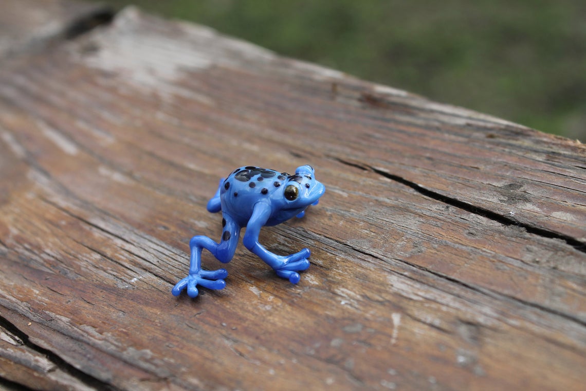 Callidryas tree frog Blown Glass Frog Sculpture poison dart frog lampwork boro toy Glass Frog Miniature Agalychnis callidryas
