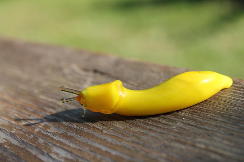 Banana Slug glass sculpture - Ariolimax californicus