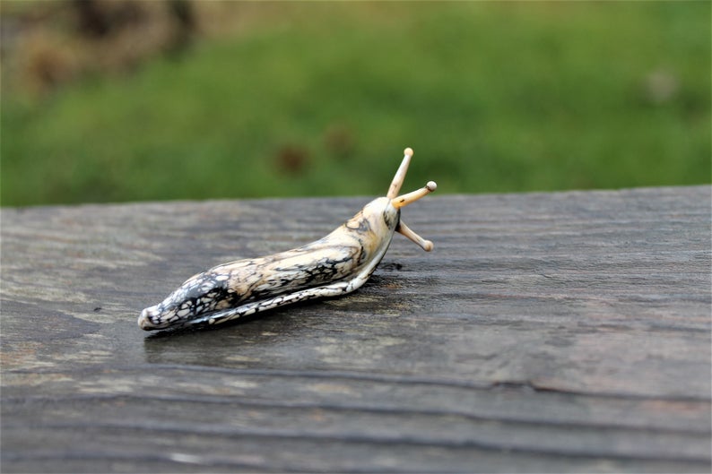 Spotted Slug glass sculpture