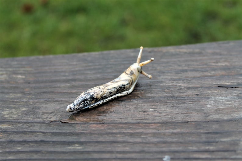 Spotted Slug glass sculpture