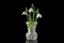 Load image into Gallery viewer, Flower Snowdrop  set of three glass snowdrops and crystal vase  mothers day gift Glass Flower Snowdrop birth flower
