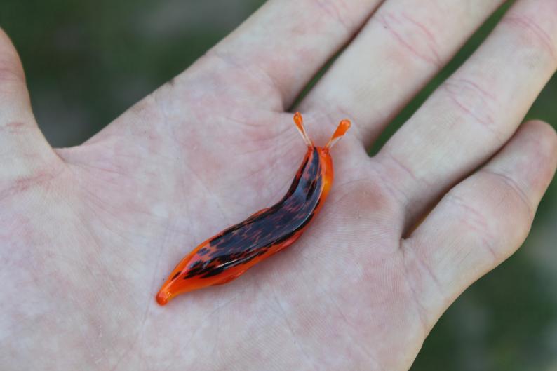 Spotted Slug glass sculpture