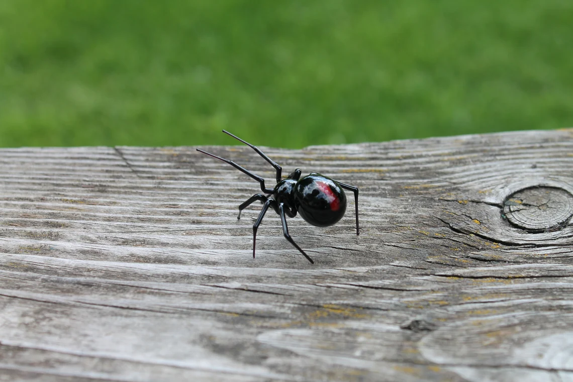 Miniature Glass Spider Figurine With Red Marking, 1.4-Inch Long