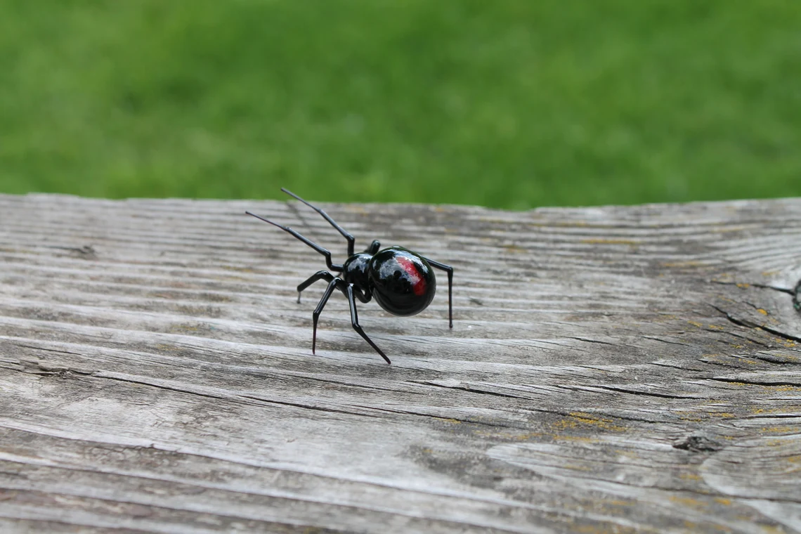 Miniature Glass Spider Figurine With Red Marking, 1.4-Inch Long