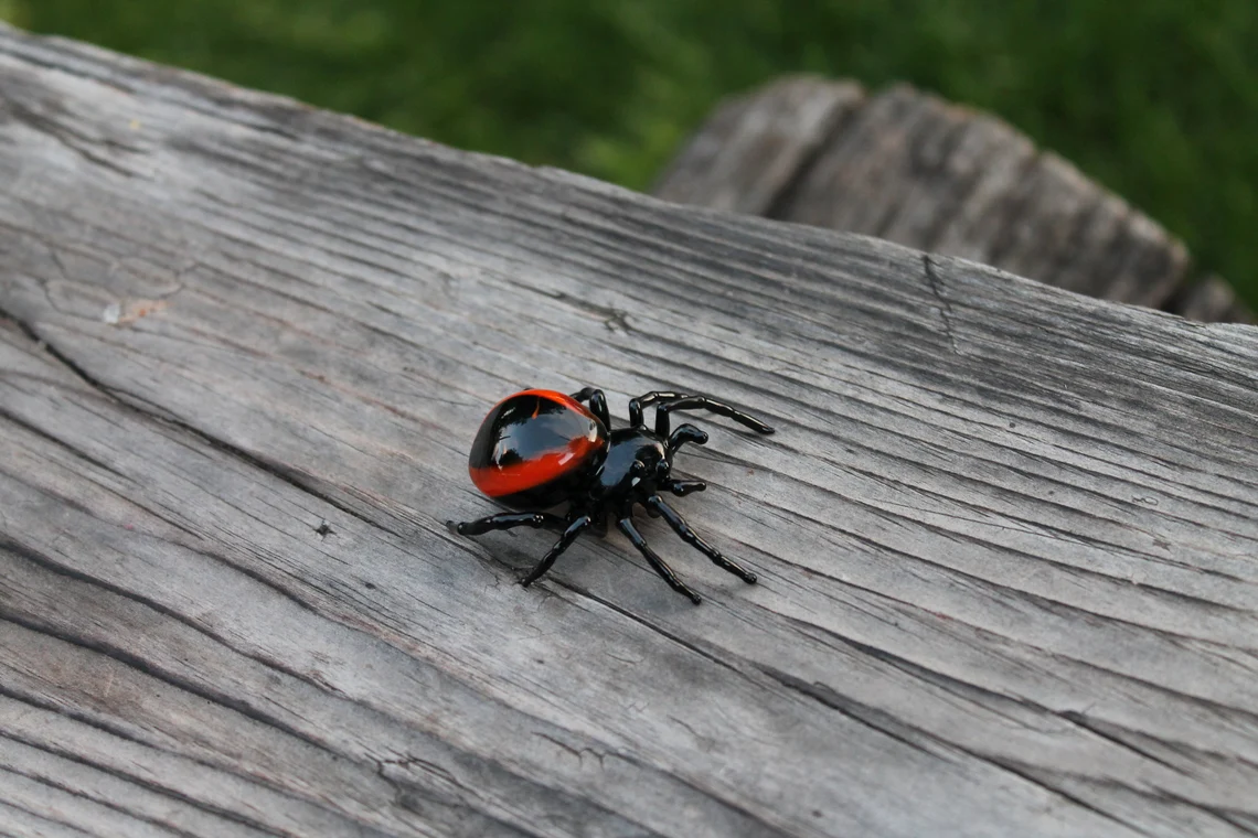 Spider Animals Glass, Art Glass, Blown Glass, Sculpture Made Of Glass, Black widow spider