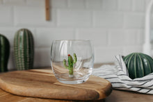 Load image into Gallery viewer, Mexico Glass Cactus Tequila Drink Water Cup Handmade Unique
