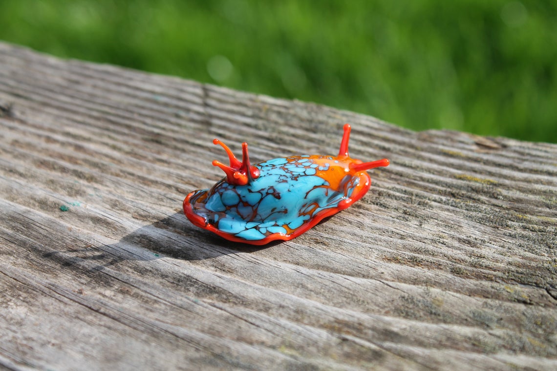 Sea slug