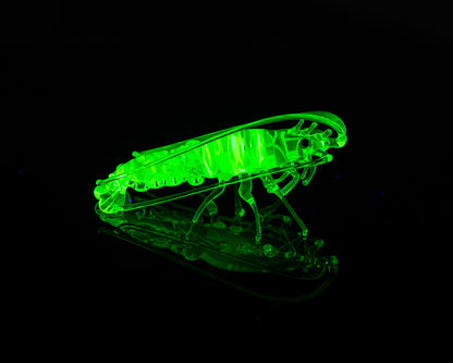 Uranium Glass Shrimp Figurine – Handblown Lampwork Miniature, UV Reactive Collectible