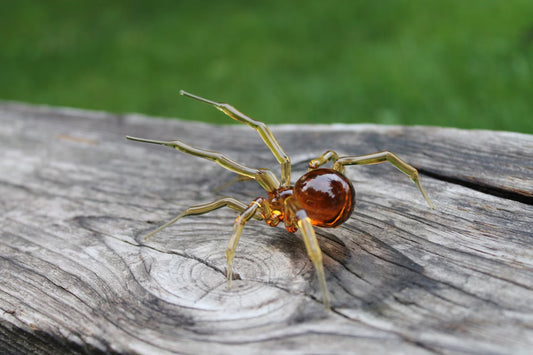 Glass Spider Figurine – Amber Legs & Body – 2.5 Inches – Lampwork Art