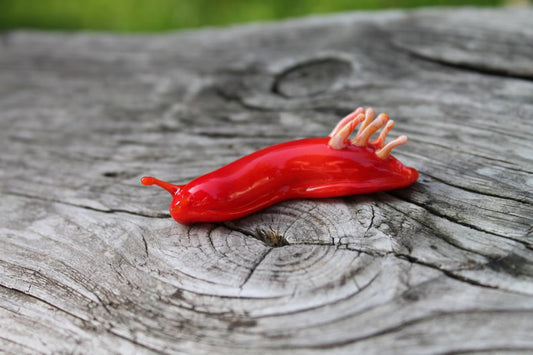 Glossy Red Lampwork Sea Slug Art Glass Miniature