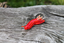Load image into Gallery viewer, Red Nudibranch Spanish dancer Hexabranchus Spotted Slug glass sculpture
