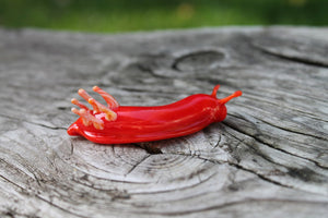 Red Nudibranch Spanish dancer Hexabranchus Spotted Slug glass sculpture