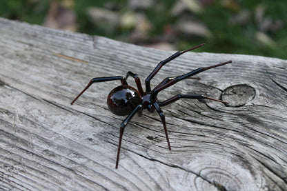 Custom Brown Art Glass Spider Figurine, Blown Glass Spider, Spider halloween