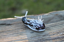 Load image into Gallery viewer, White Black Nudibranch Spanish dancer Hexabranchus Spotted Slug glass sculpture
