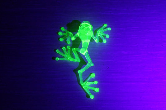 Uranium Glass Frog Pendant pendant Blown Glass Frog Uranium Vaseline Glass Figurine Frog necklace Frog Glass UV Miniature