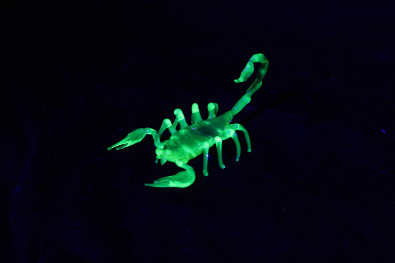 Uranium Glass Scorpion – UV Reactive Handmade Collectible