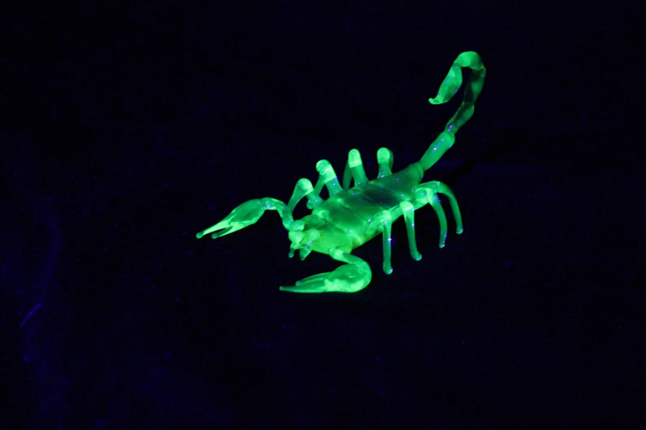 Uranium Glass Scorpion – UV Reactive Handmade Collectible