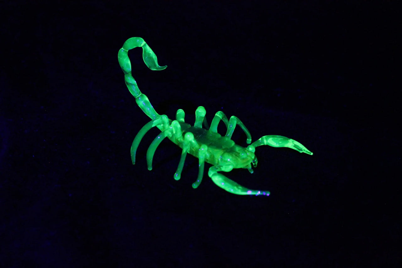 Uranium Glass Scorpion – UV Reactive Handmade Collectible