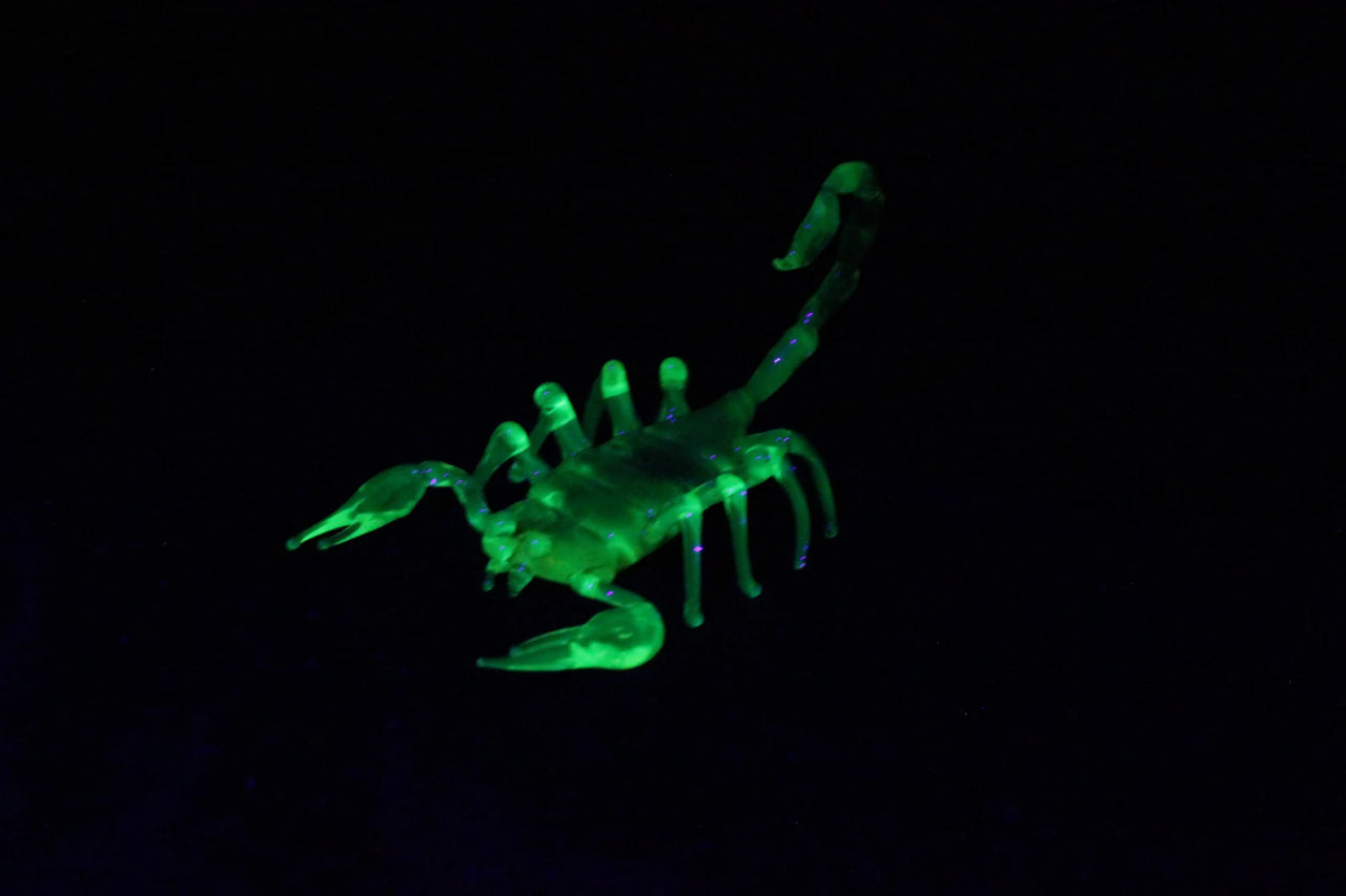 Uranium Glass Scorpion – UV Reactive Handmade Collectible