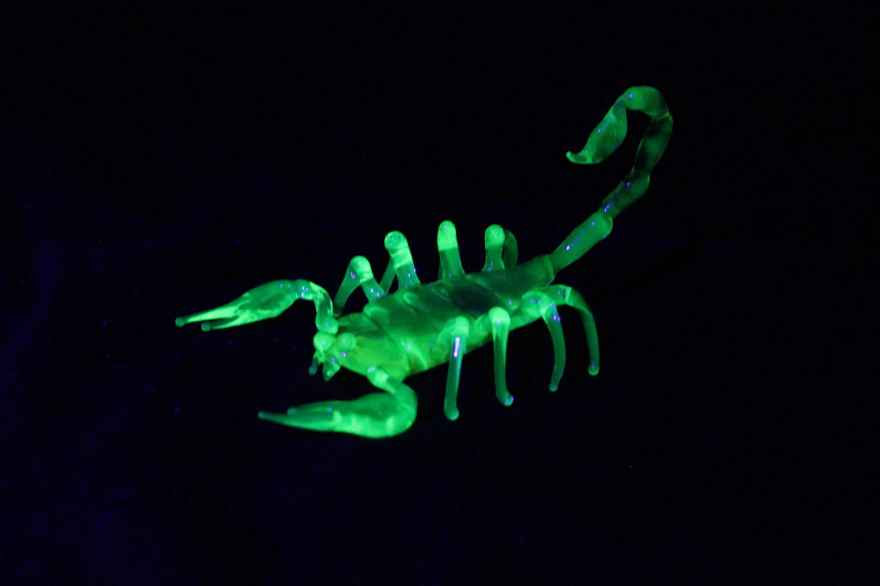Uranium Glass Scorpion – UV Reactive Handmade Collectible